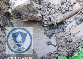 鹤岗水管漏水检测公司5